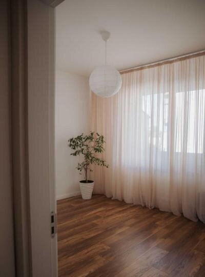 Pallady, Gura Fagetului.